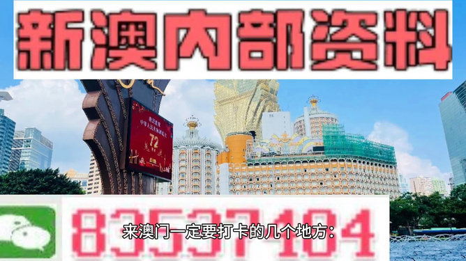 2024新澳门精准正版免费资料,探索新澳门，正版资料的精准价值之旅（2024年展望）