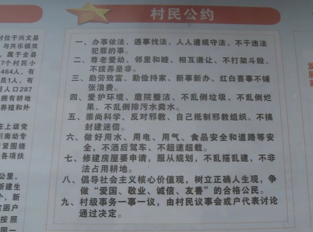 最准一肖100%准确精准的含义,揭秘最准一肖，探寻百分之百准确精准之含义